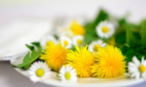 Anthroposophische Medizin