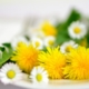 Anthroposophische Medizin