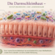Darmschleimhaut-