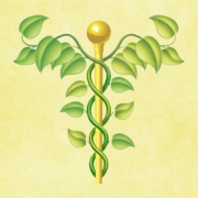 Heilpraxis Heilpraktiker Symbol Wie wird man eigentlich Heilpraktiker ?