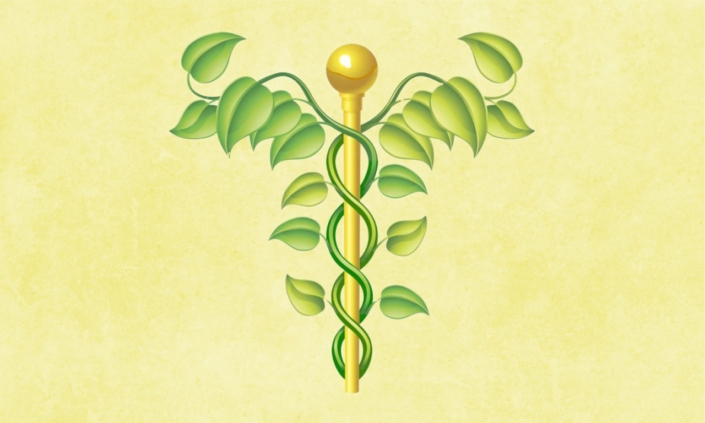 Heilpraxis Heilpraktiker Symbol Wie wird man eigentlich Heilpraktiker ?