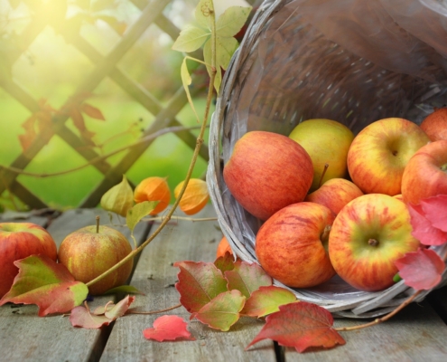Herbstkur Herbst