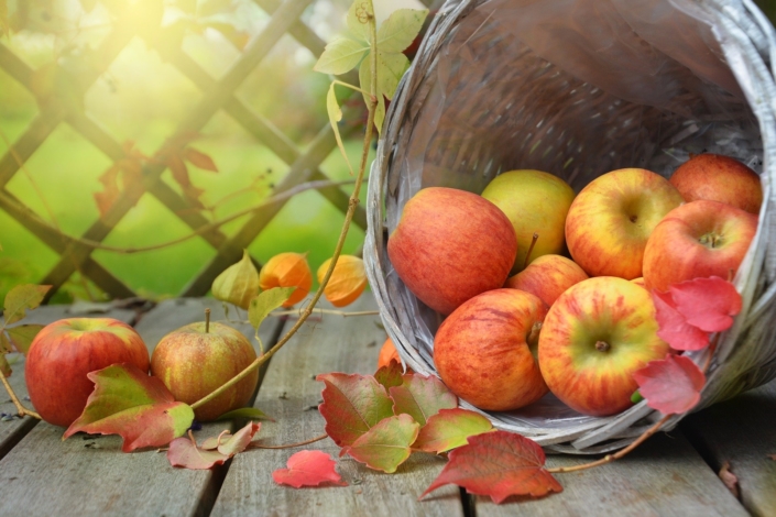 Herbstkur Herbst Herbstkur Herbst