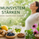 Immunsystem stärken